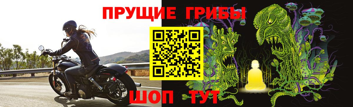 Гагарин  Псилоцибиновые грибы прущие грибы  Вход с VPN  Псилоцибиновые грибы мицелий 
